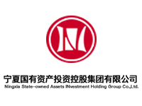 宁夏国有资产投资控股集团有限公司
